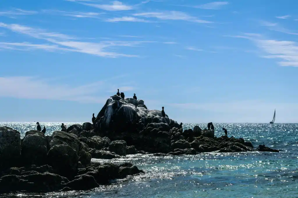 San-Jose-Del-Cabo