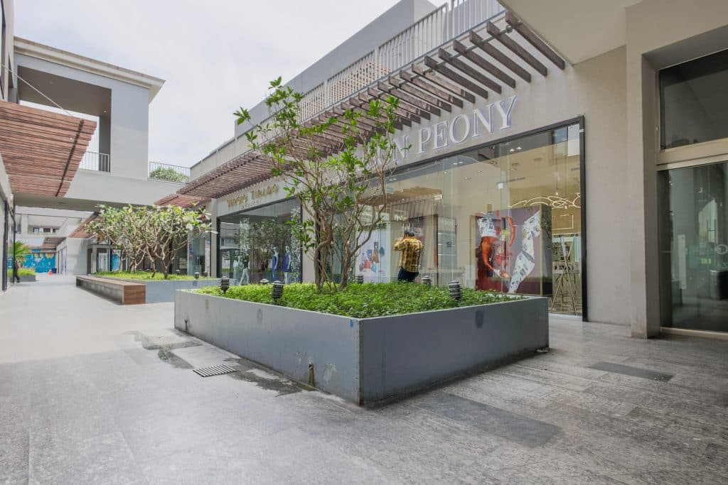 shopping-in-cabo-san-lucas