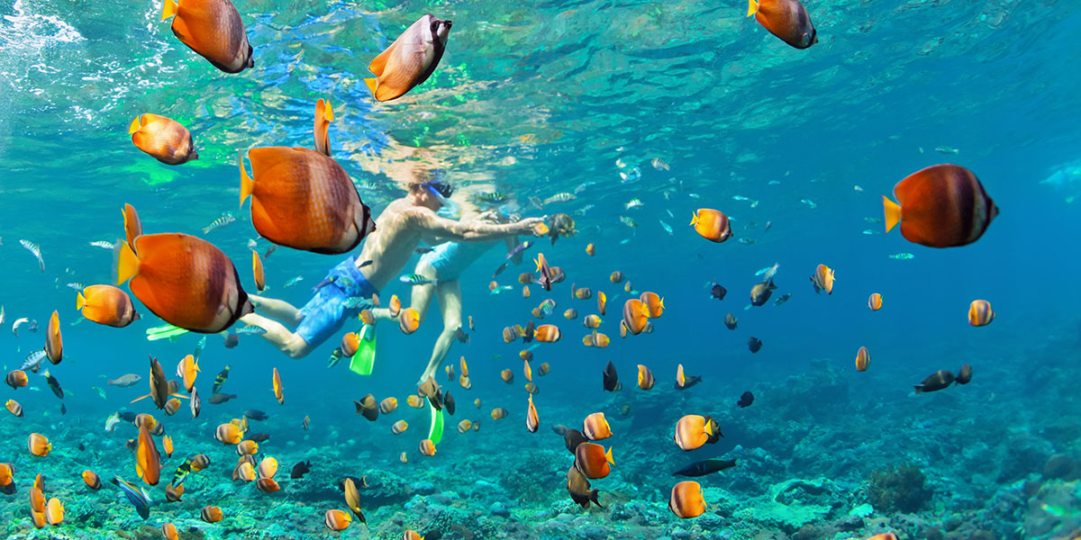 Things to do in Cabo Pulmo